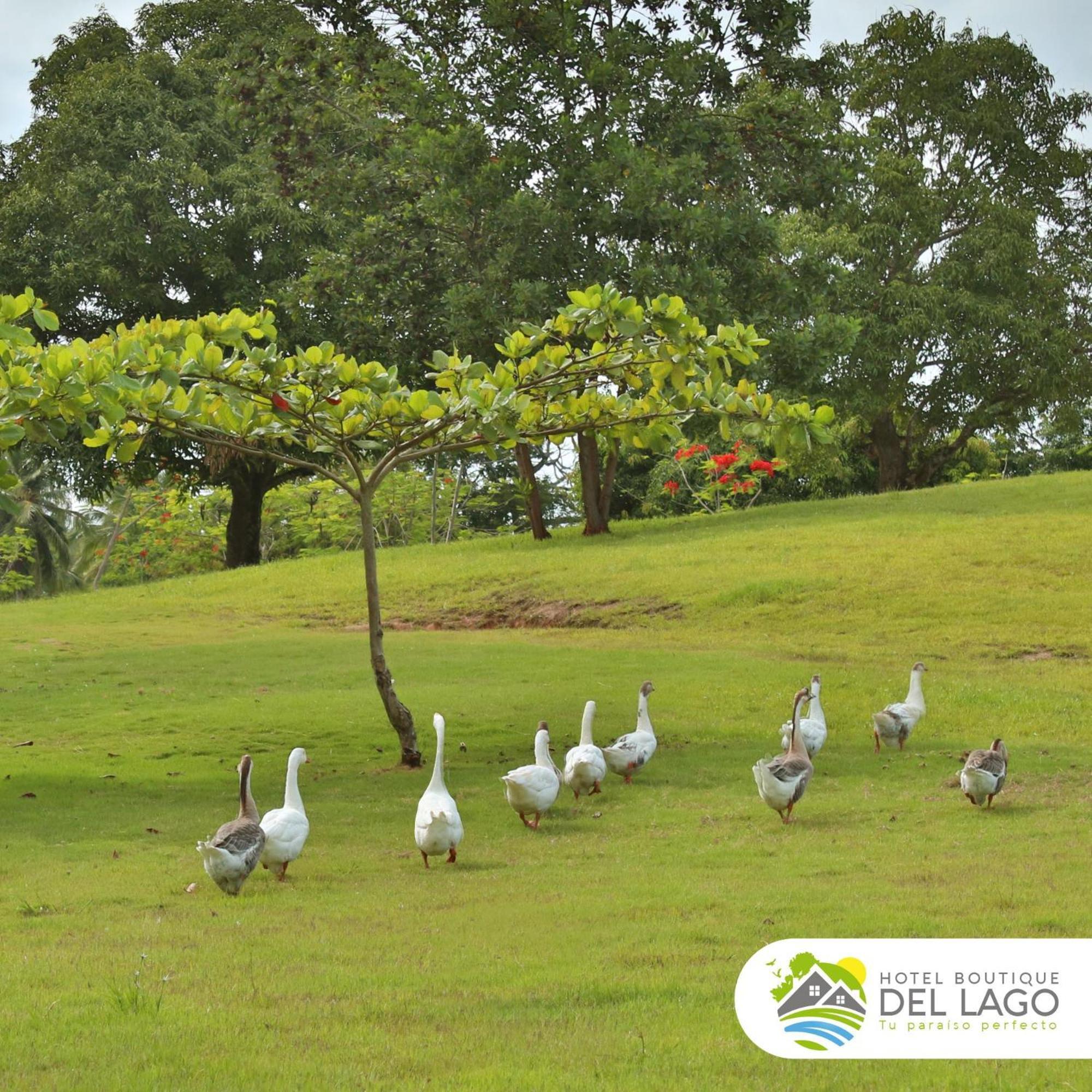 Hotel Boutique Del Lago Nagua Εξωτερικό φωτογραφία